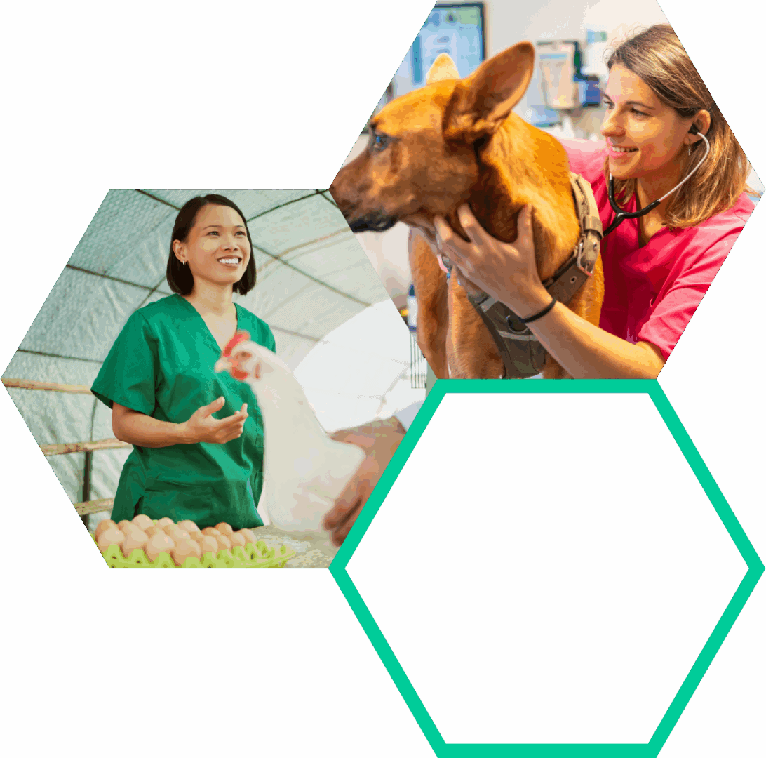 Veterinarians with pets and livestock | Biofence Technologies