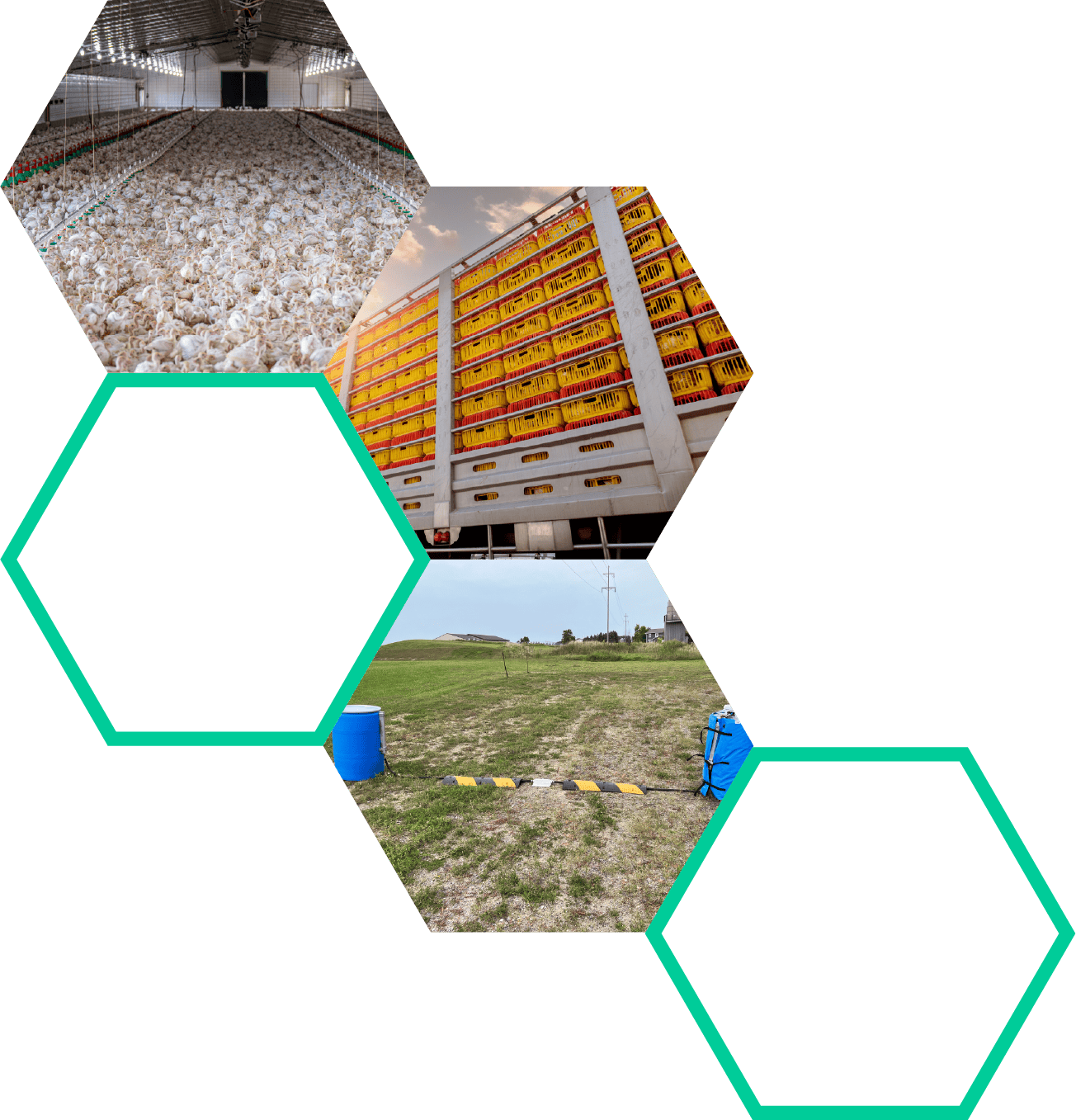 Farmers with their livestock | Biofence Technologies