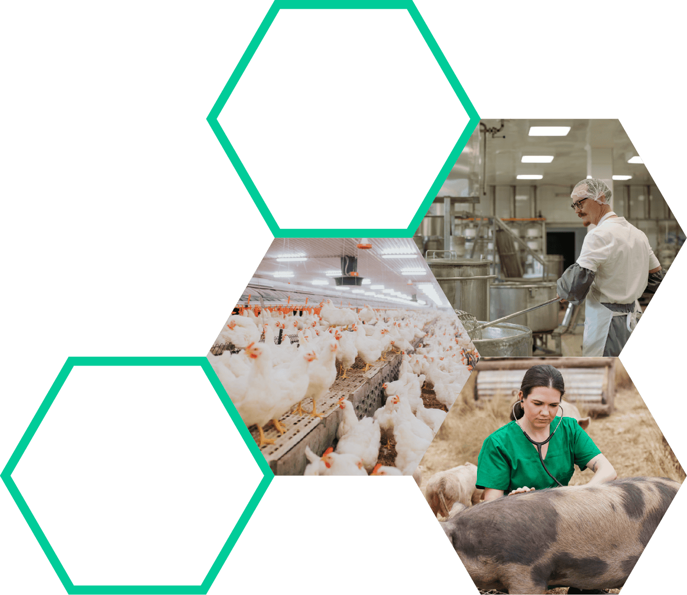 Farmers with their livestock | Biofence Technologies